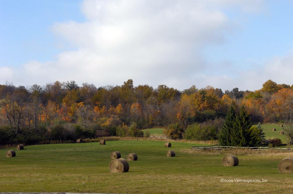 I loved the pastoral scene with the hay and autumn leaves in the distance.