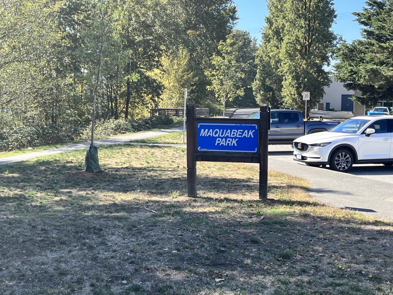 Welcome to the noisy park