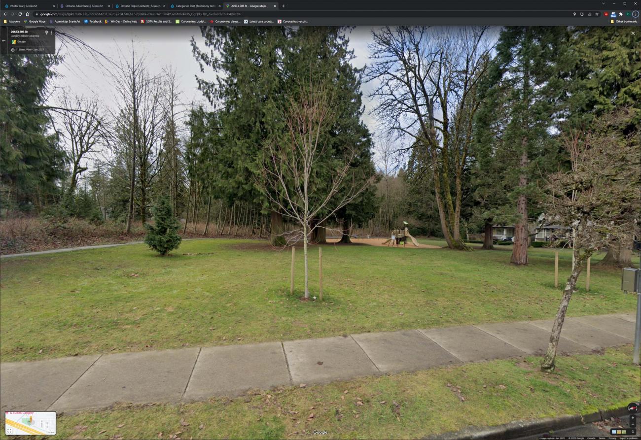 Looking at the park and my location from the street