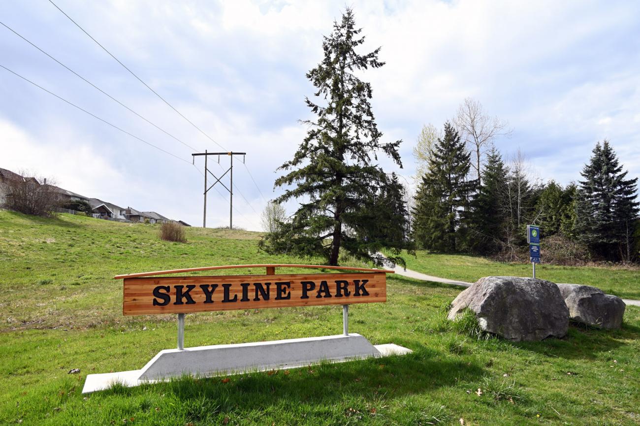 Welcome to the park