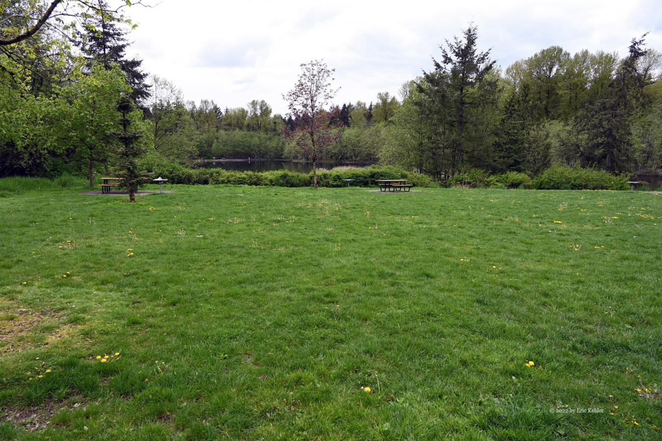 Lots of grass and tables to enjoy a warm afternoon at