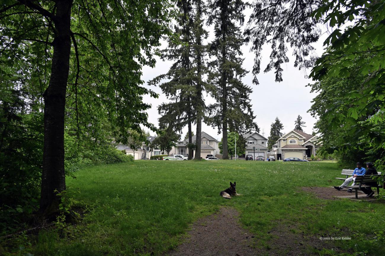 Looking back to the wide grassy area of the park