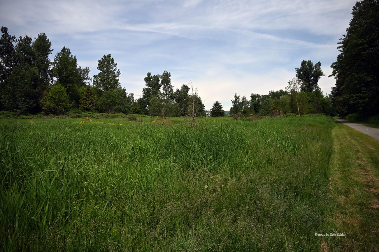 Lots of open areas and paths to walk