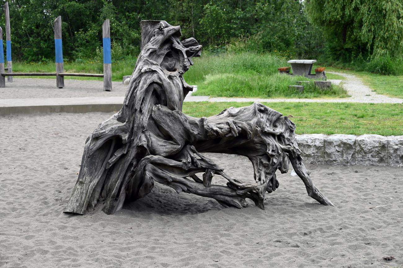 An interesting old stump on display