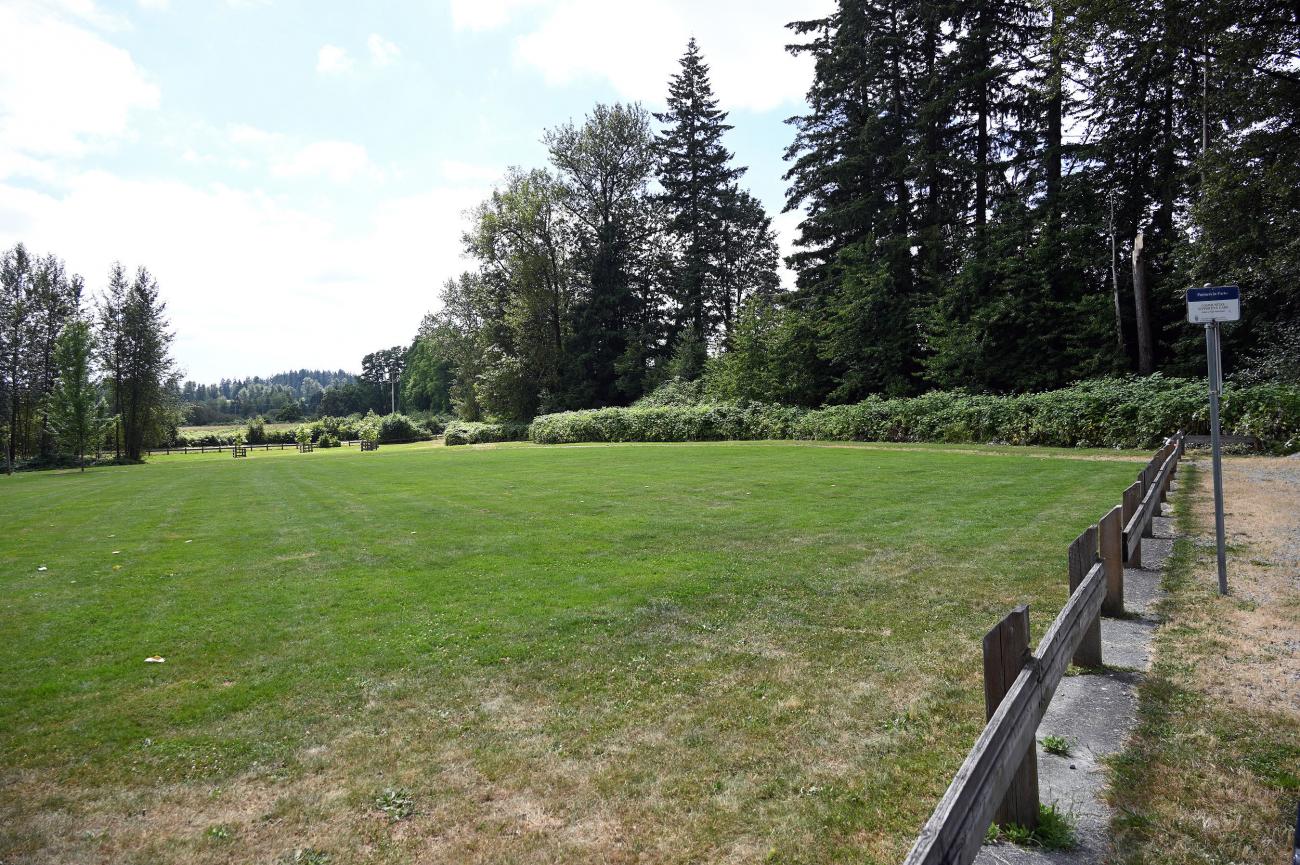 Looking across the grass from the parking lot
