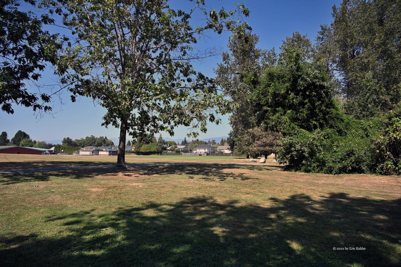 Looking across the park from my operation location