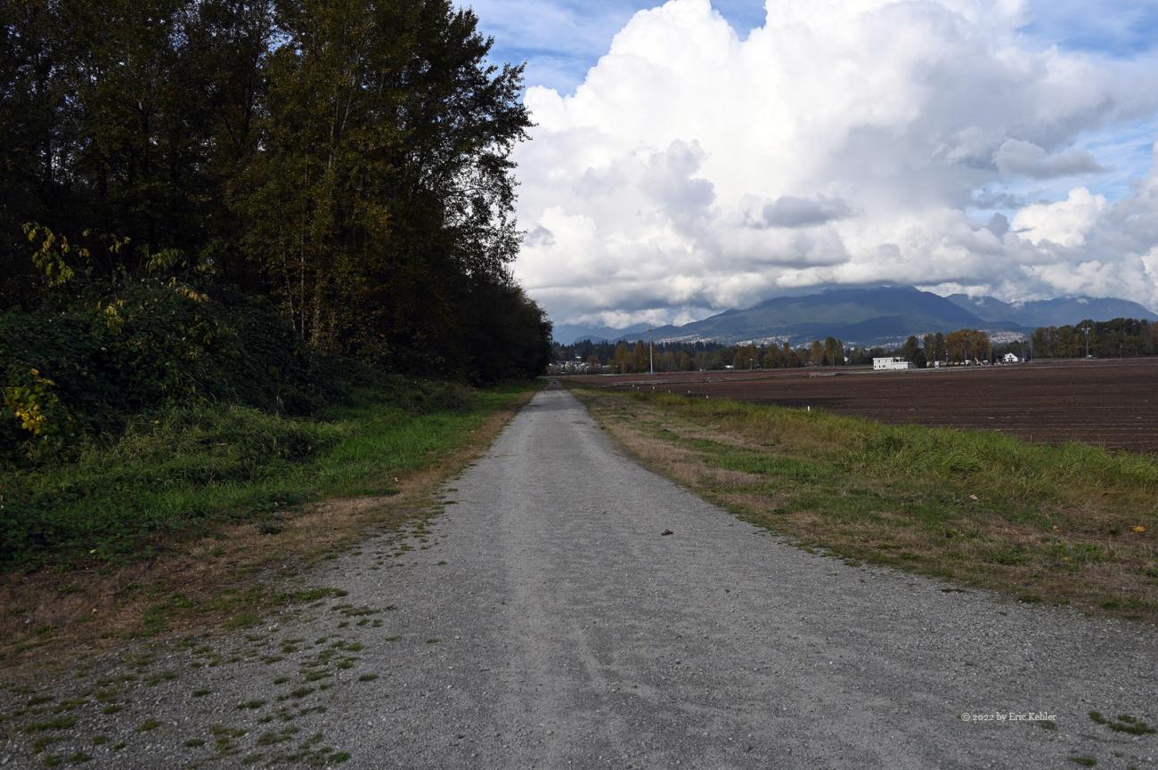 Looking north along the dyke walkway