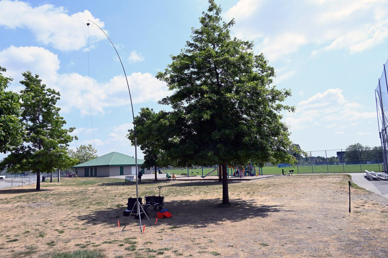 My station for the afternoon, kids playground behind the tree