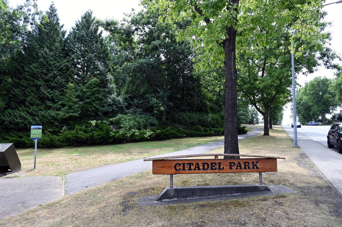 Welcome to the park