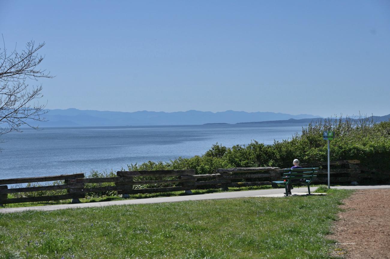 Enjoying the serenity of the park - fresh sea air, sunshine, coastal beauty and a good boook