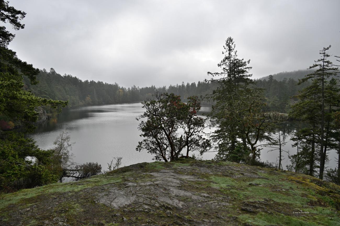 A view of Thetis Lake looking back toward the main parking area