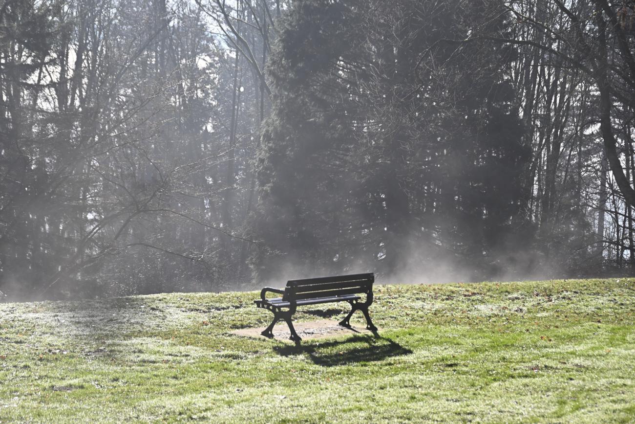 The sun is warming the grass and releasing the frost and the bench awaits 