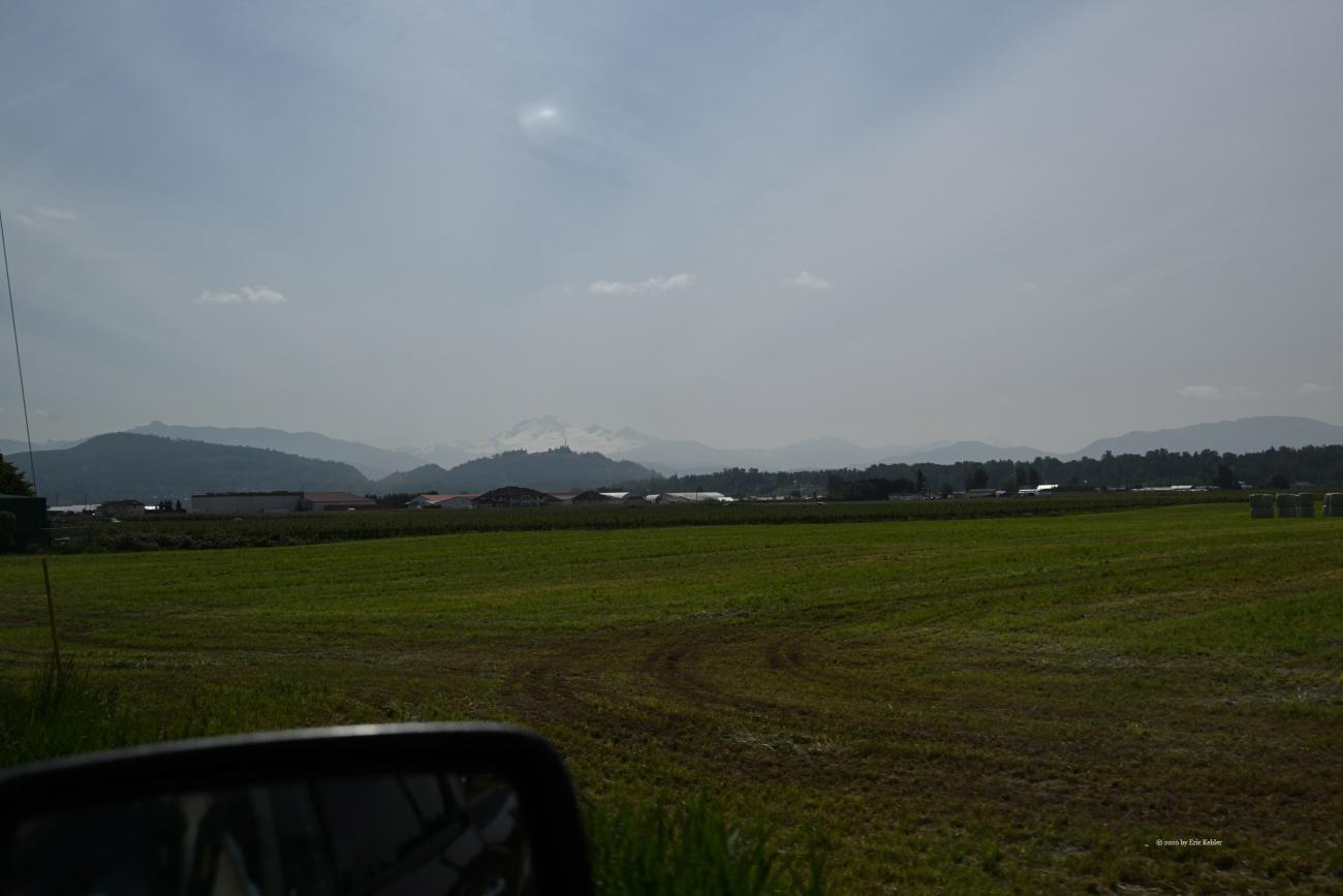 Mount Baker across the Matsqui fields
