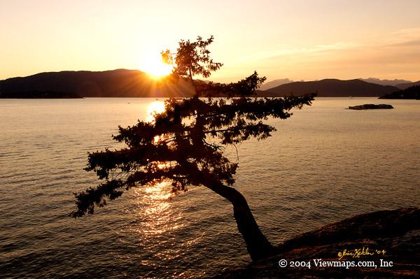 Juniper Point Sunset