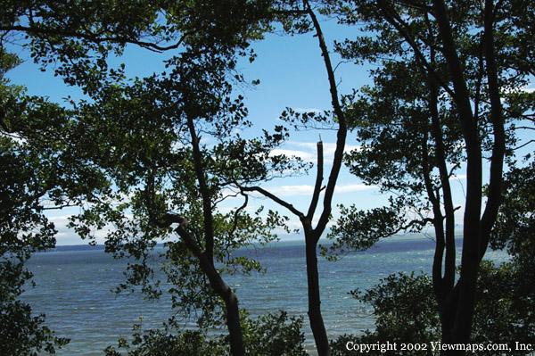 A view looking South from the Bluff near Ocean Park.