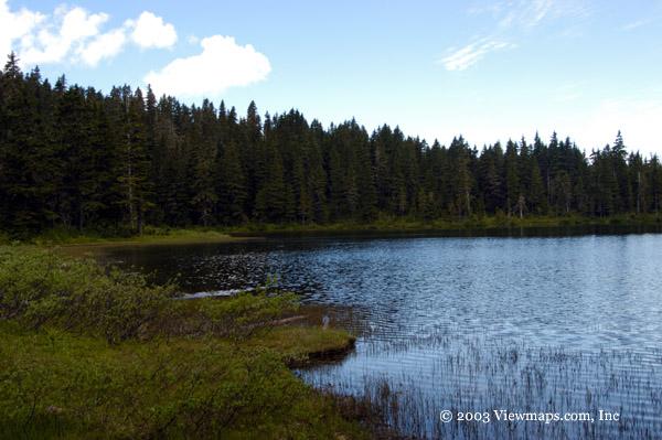 A portion of Liumchen Lake.