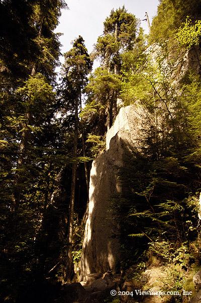 The trail up was full of beautiful rock walls and trees growing out of them in seemingly impossible locations.