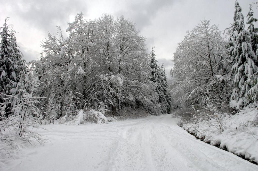 The road offered many snow filled aventures to chose from.