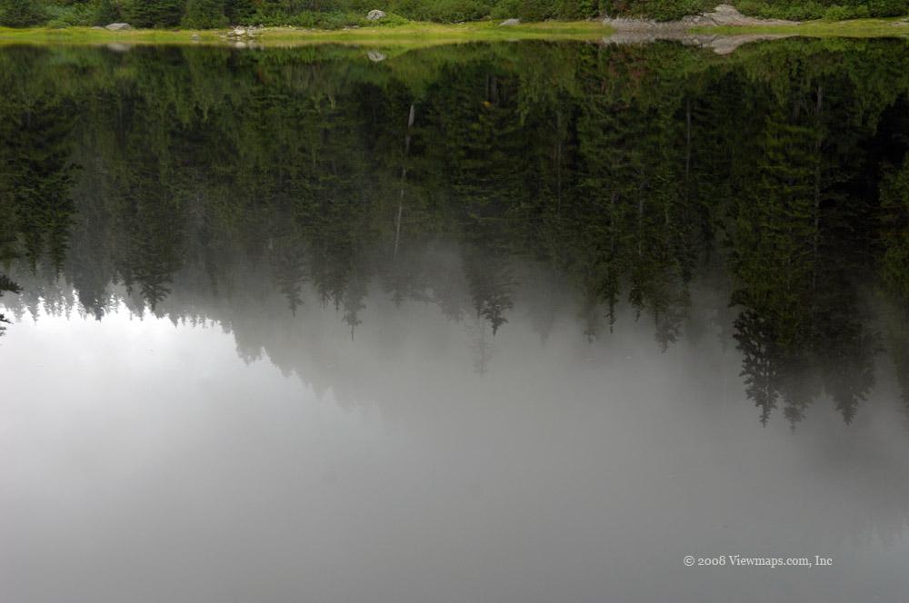 A reflection of the mist covered trees