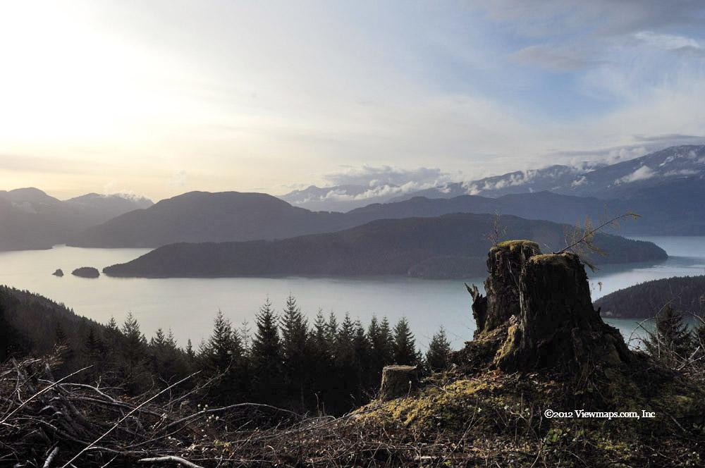 A lake and stump with a view