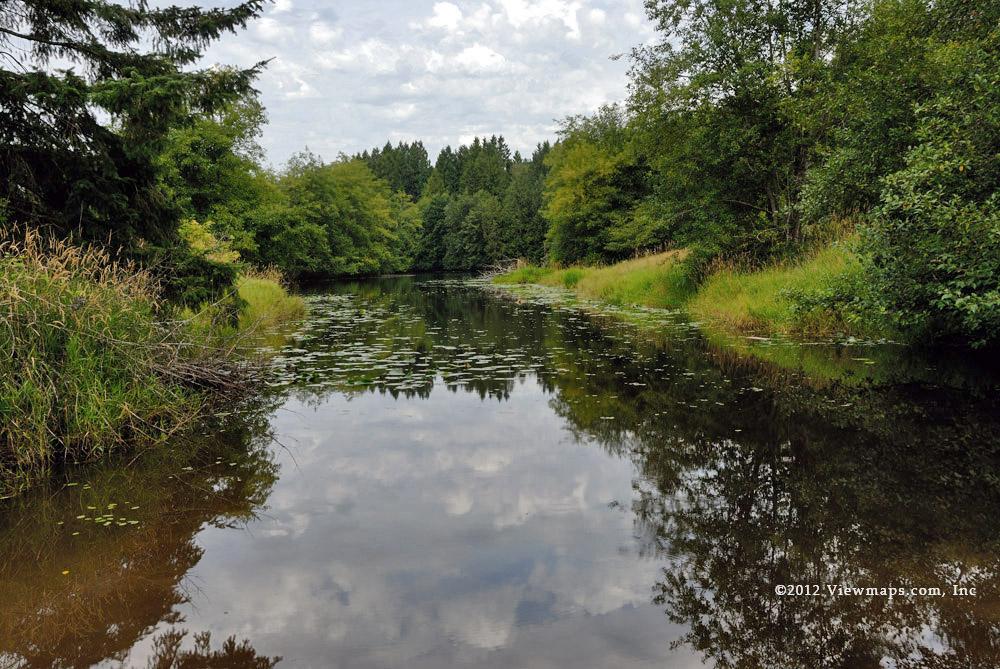 First glance of McLean Pond, it was much enlarged from when I first saw it