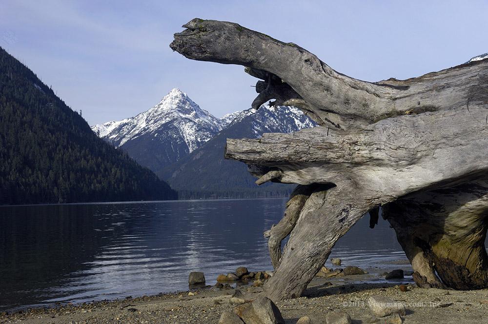 I was playing with angles and this huge log laying across the beach