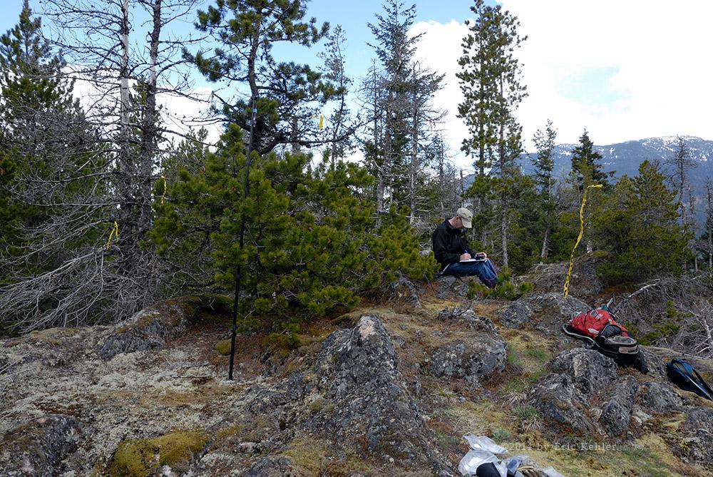 Ralph on the Summit of Mt Lincoln, contacting other hams in California