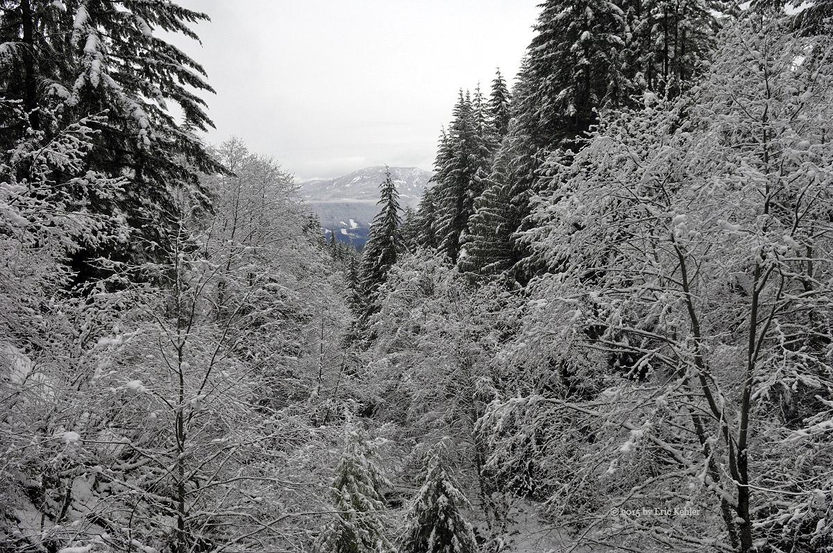 Looking down Slollicum Creek towards Harrison Lake