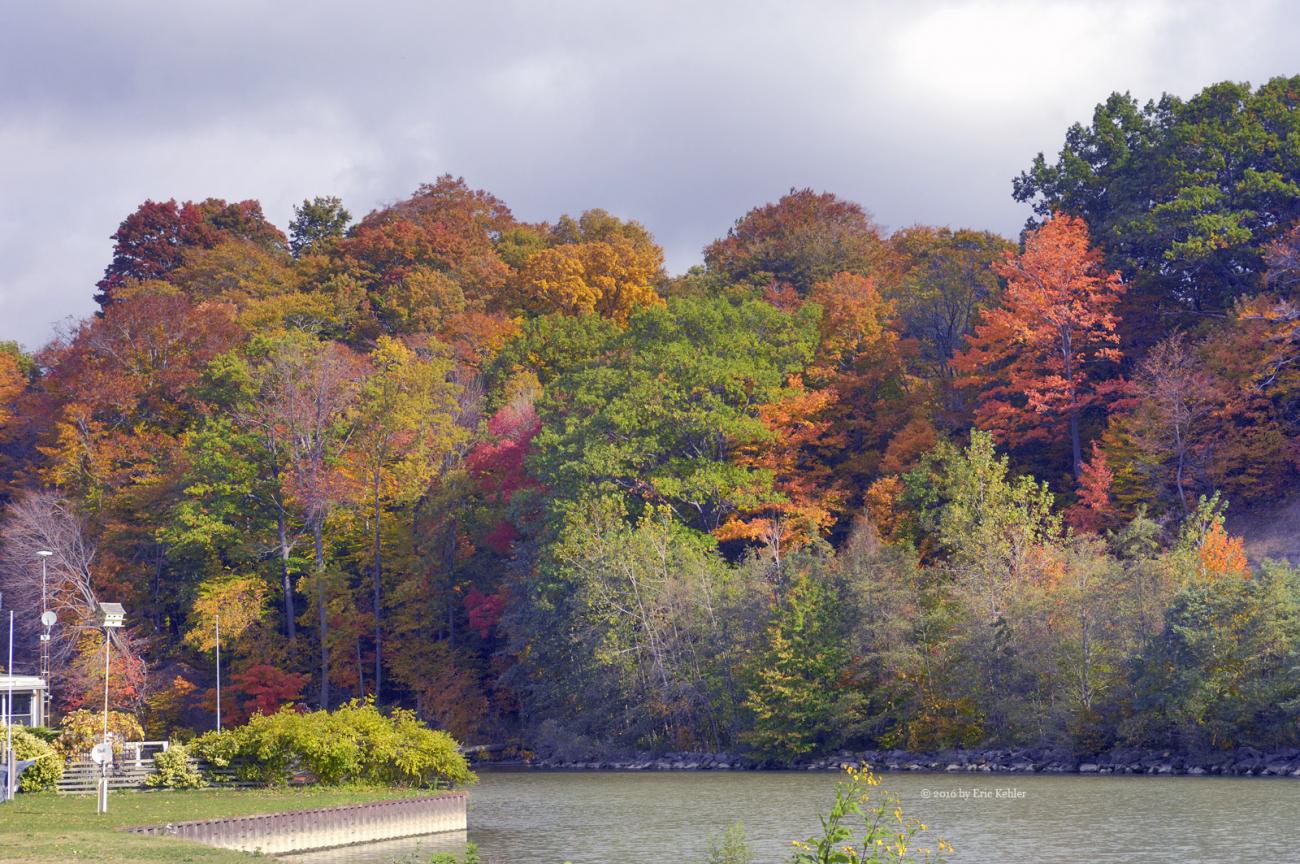 The east side of the valley above Port Bruce