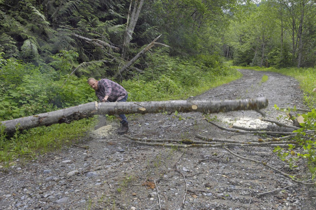 Geoff clearing the road