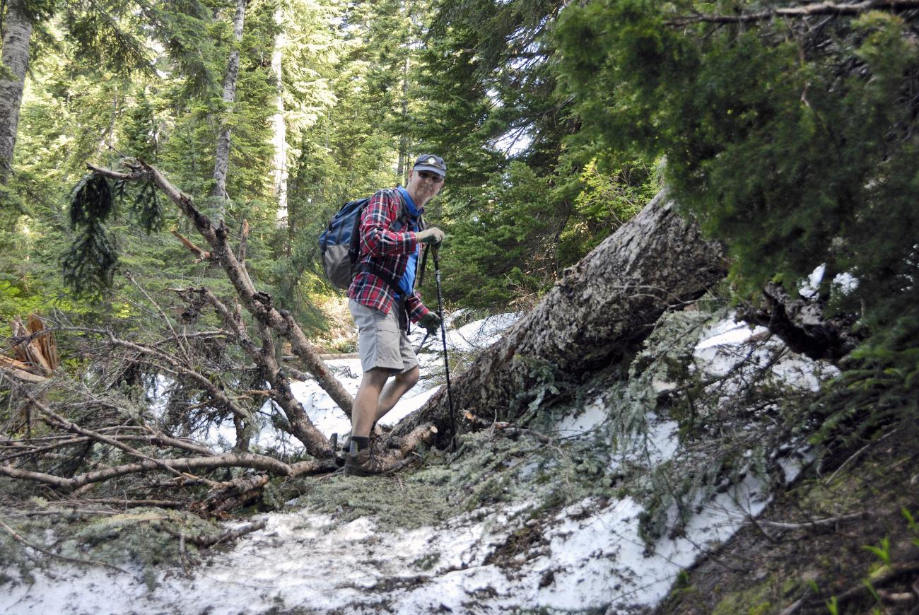 Crossing a fallen tree