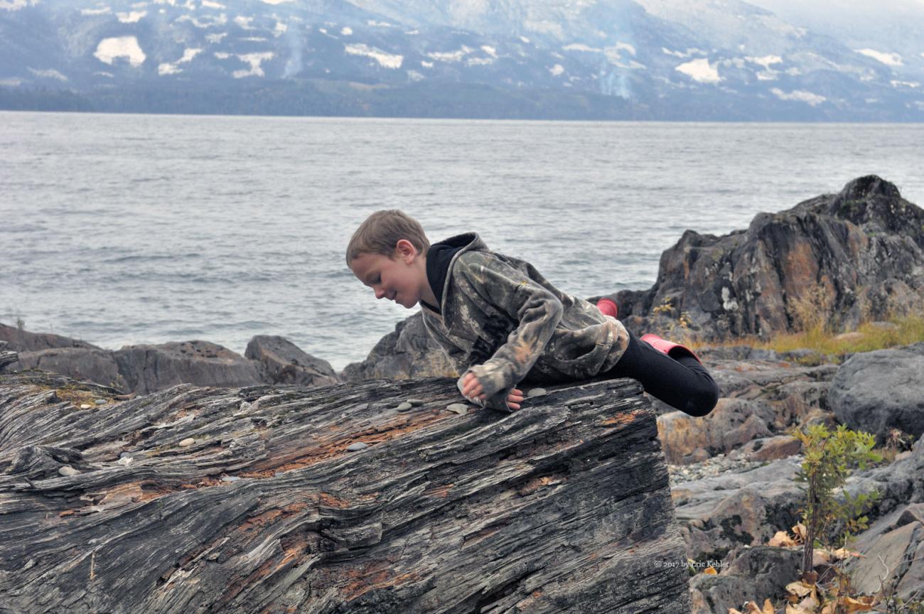 Liam climbing onto a large stump