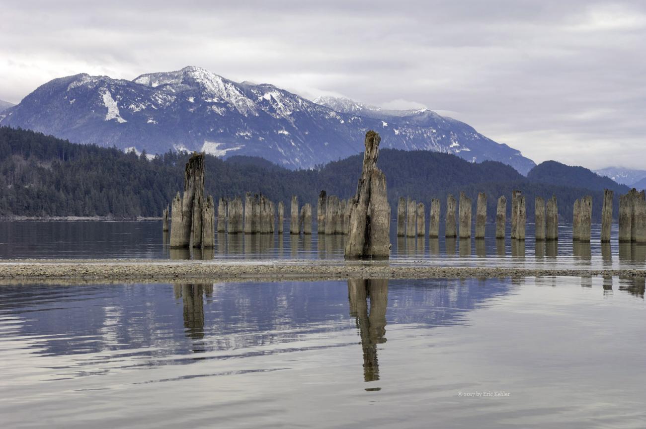 The posts at 20 mile bay