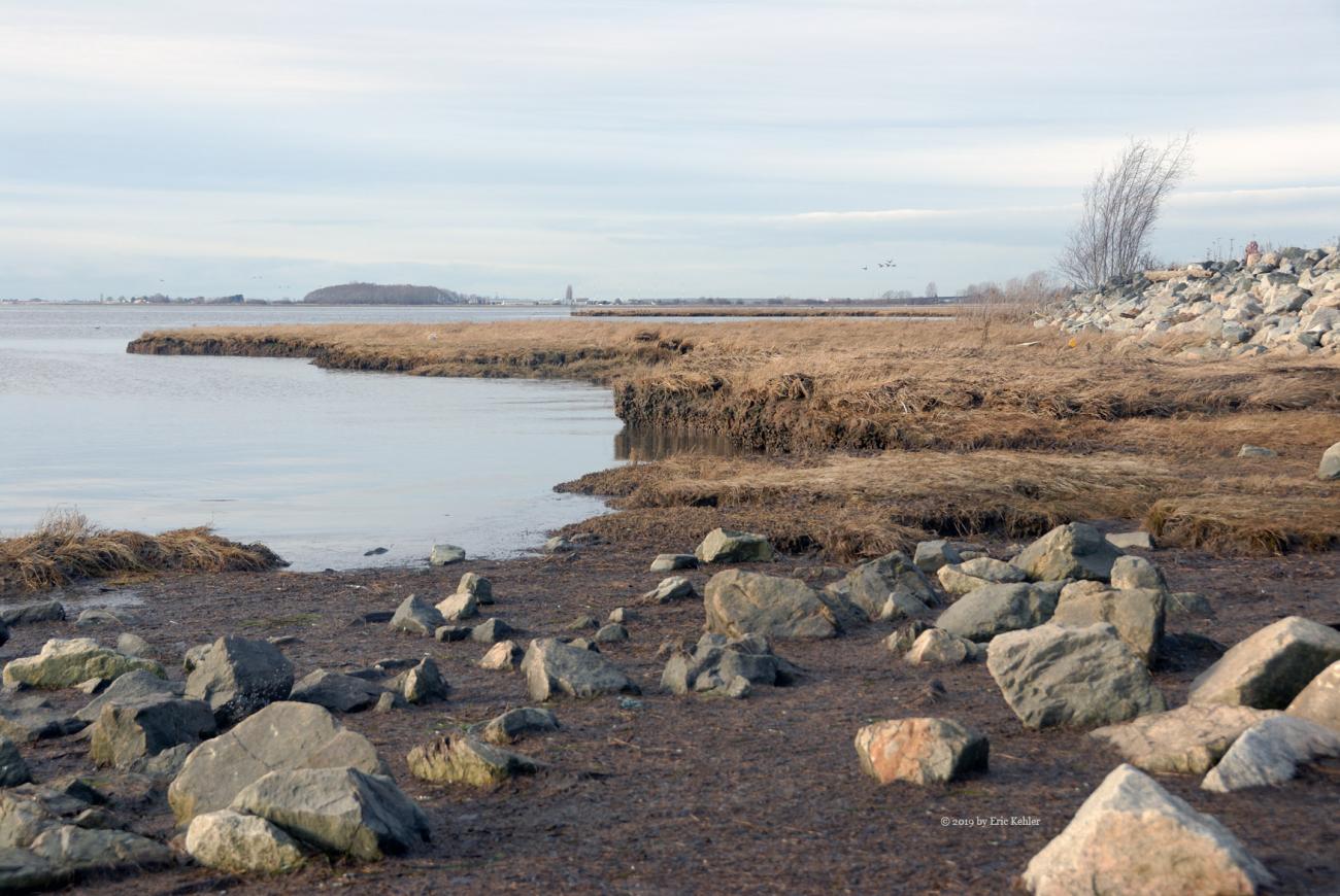 A westerly view of the shoreline