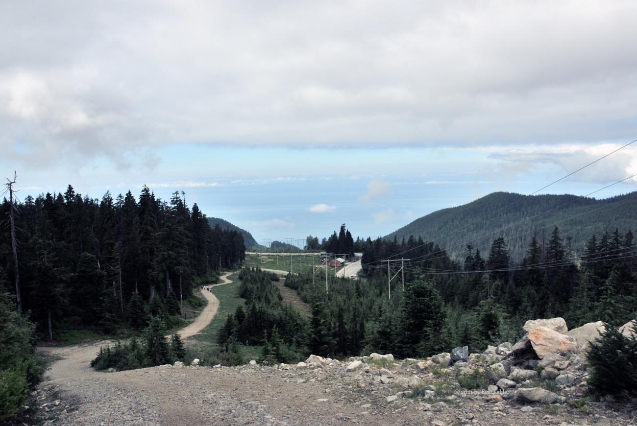 Looking back along the service road