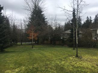 The park from the cul de sac