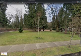 Looking at the park and my location from the street