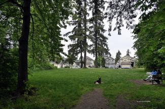 Looking back to the wide grassy area of the park