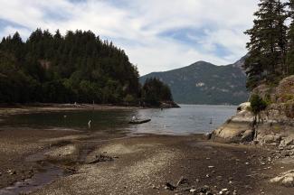 Looking at the actual cove