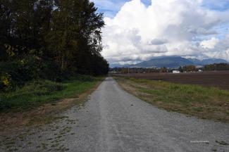 Looking north along the dyke walkway