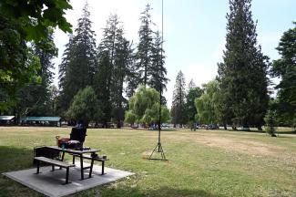 My station at the park looking north-west