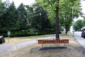 Welcome to the park