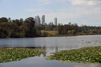 Looking out across the lake from the parking lot