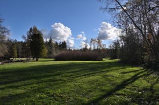 A lovely day for a park visit, this is the open picnic area at the south entrance