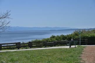 Enjoying the serenity of the park - fresh sea air, sunshine, coastal beauty and a good boook
