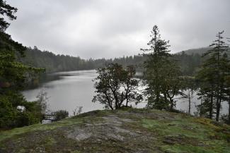 A view of Thetis Lake looking back toward the main parking area