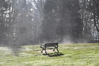 The sun is warming the grass and releasing the frost and the bench awaits 