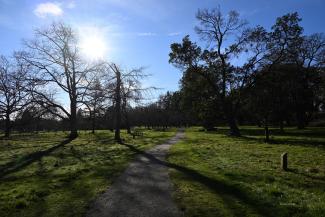 Entering the park from Quadra Street. Lots of bare branches