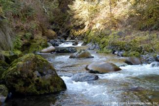 A beautiful little stream which flows under the forest service road.