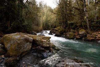 Tamihi Creek - I just love this location and keep coming back for more. Each season brings a new adventure here.